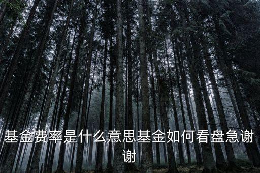 基金費(fèi)率是什么意思基金如何看盤(pán)急謝謝