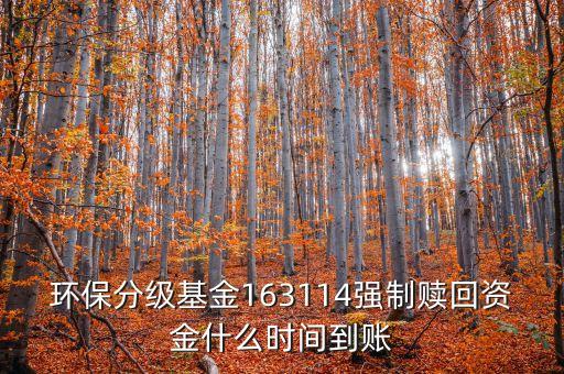 163114什么時(shí)候開(kāi)盤(pán)，163114是個(gè)什么玩意啊賣(mài)也賣(mài)不出