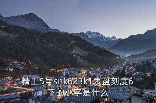 精工表中小表什么，精工手表4個(gè)小表盤(pán)是干甚么的