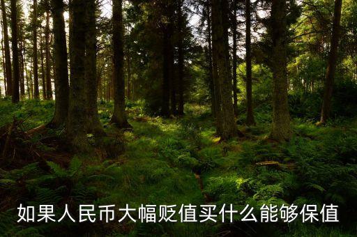 錢貶值買什么，人民幣貶值買什么好