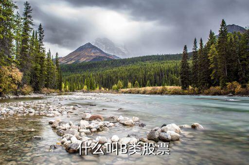 分級(jí)股b什么意思，分級(jí)基金b和b股一樣嗎