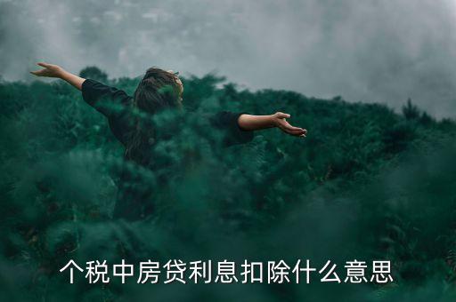 房貸利息抵扣個稅什么意思，個稅中房貸利息扣除什么意思