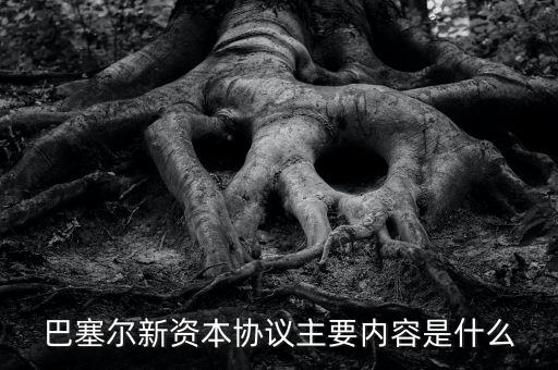 新資本協(xié)議是什么，新巴塞爾資本協(xié)議的介紹
