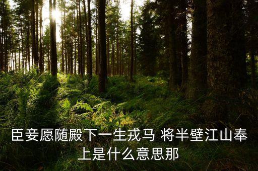 打下半壁江山什么意思，半壁江山的意思是