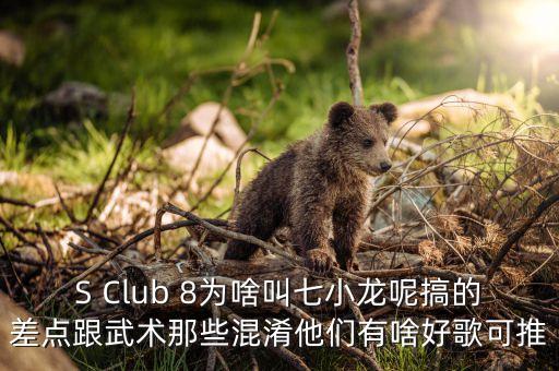 什么決定 空降 經(jīng)理人，有一句歌詞是如果我沒(méi)記錯(cuò)的話i never never never let you go英文