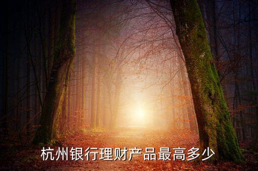 豐裕1號有什么風(fēng)險，杭州銀行理財產(chǎn)品豐裕一號風(fēng)險等級怎么