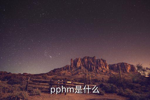 安迅思是什么，biche是什么意思
