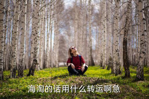 惠惠海淘用的什么轉(zhuǎn)運，海淘的話用什么轉(zhuǎn)運啊急