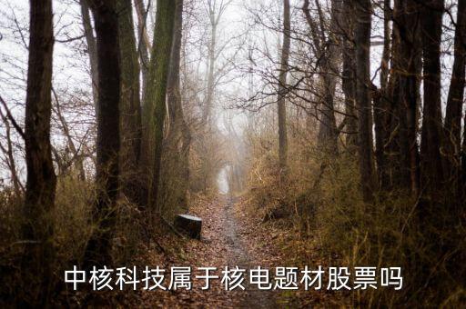 中核科技是什么板塊，中核科技屬于核電題材股票嗎