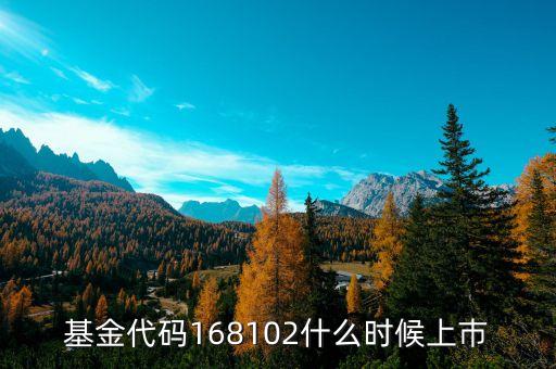 168101基金什么時(shí)候上市，基金代碼168102什么時(shí)候上巿