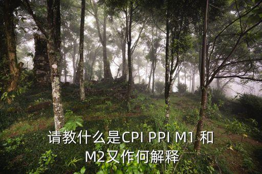 m2指數(shù)是什么，請教什么是CPI PPI M1 和 M2又作何解釋