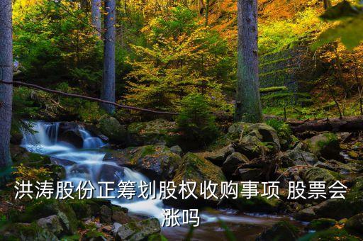 洪濤股份收購(gòu)什么公司，002325股權(quán)收購(gòu)不成功股票會(huì)漲嗎