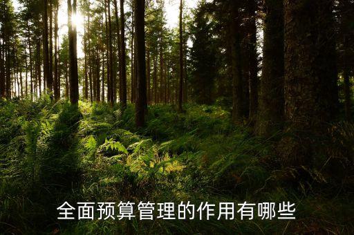 什么是預算管理，什么是預算控制