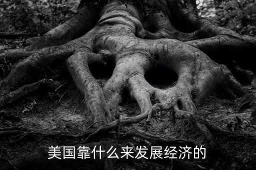 美國經(jīng)濟靠什么，美國靠什么來發(fā)展經(jīng)濟的