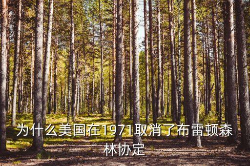 什么取代了布雷頓森林體系，布雷頓森林體系的產(chǎn)生說明了
