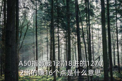 a50指數(shù)1510是什么，A50指數(shù)我12718進(jìn)的12702出的賺16個點(diǎn)是什么意思