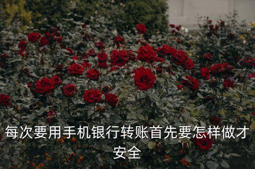 手機銀行轉(zhuǎn)賬有什么可以保護安全，手機開了手機銀行怎么保護