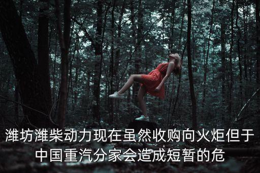 重汽為什么沒(méi)有濰柴了，中國(guó)重汽還有濰柴發(fā)動(dòng)機(jī)嗎