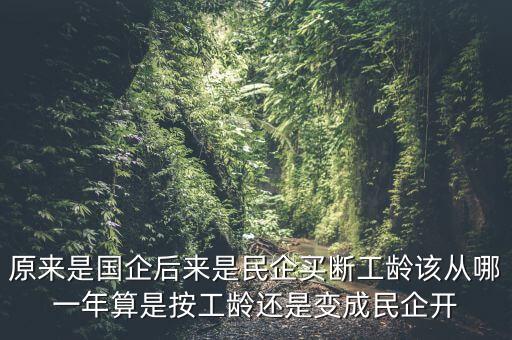 廣西貴糖什么時(shí)候變私企，廣西在什么時(shí)候開始變得落后起來的原因是