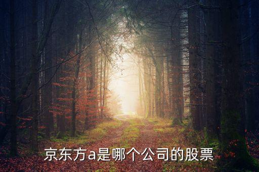 京東方a是什么企業(yè)，京東方A董事長是誰是什么企業(yè)