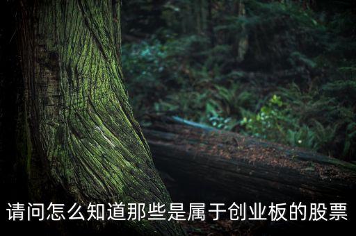 怎么知道創(chuàng)業(yè)板要出什么新股票，如何知道已經(jīng)開通創(chuàng)業(yè)板股票