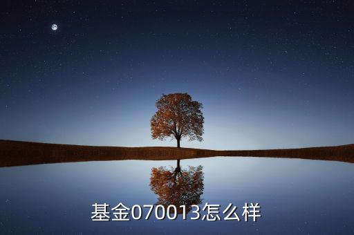 070013基金是什么基金，基金070013前面加of什么意思