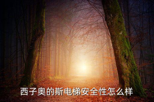 西子奧的斯電梯有什么缺陷，西子奧的斯電梯安全性怎么樣