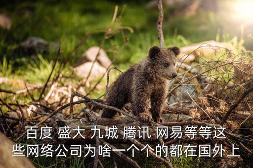 盛大為什么上市，百度 盛大 九城 騰訊 網(wǎng)易等等這些網(wǎng)絡(luò)公司為啥一個(gè)個(gè)的都在國外上