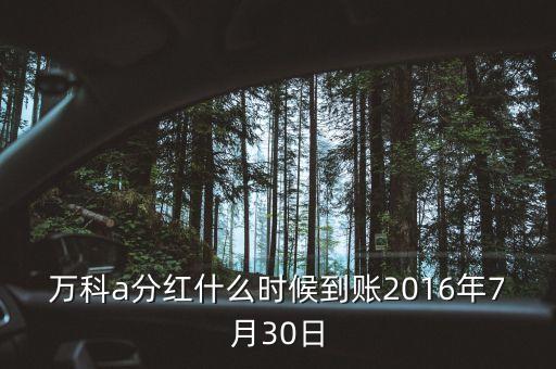 利君2016年的分紅什么時(shí)候到帳，2016年十二月以后垮行轉(zhuǎn)賬最遲多久到帳
