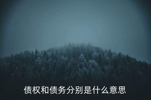bsp票款債權(quán)是什么，銀行理財業(yè)務(wù)里面的liborbsp是什么意思