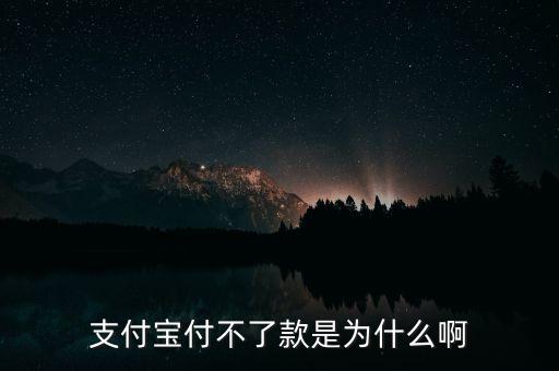 手機(jī)支付寶為什么不能付款，支付寶付不了款是為什么啊
