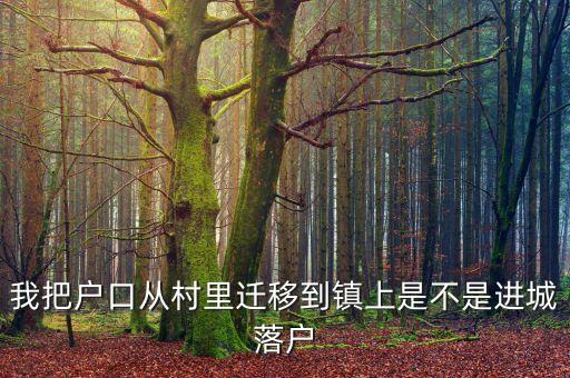 進(jìn)城落戶(hù)是什么意思，進(jìn)城務(wù)工人員隨遷子女是什么意思