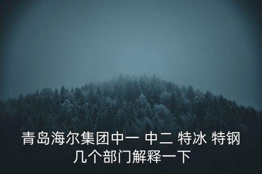 海爾內銷是什么意思，有帶鎖的冰箱么冷藏冷凍功能都要有的謝謝