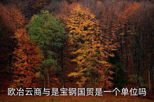 歐冶金融是什么企業(yè)，鋼鐵電商歐冶云商域名是寶鋼化還是有玄機(jī)