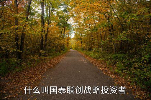 國航為什么選擇國泰作戰(zhàn)略投資者，什么叫國泰聯(lián)創(chuàng)戰(zhàn)略投資者