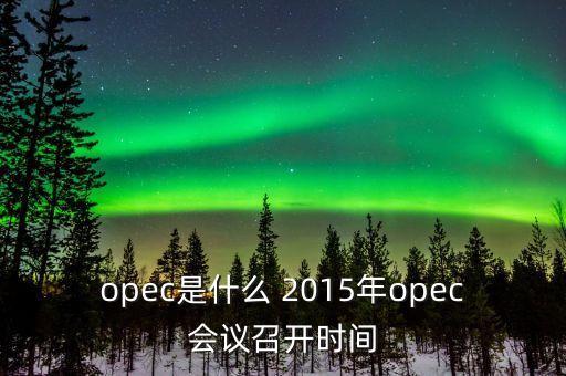 什么是opec會(huì)議，OPEC石油會(huì)議是什么時(shí)候召開啊石油價(jià)格會(huì)受影響嗎