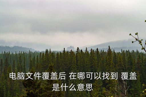 首次覆蓋是什么意思，首次覆蓋給予買(mǎi)入評(píng)級(jí) 什么意思