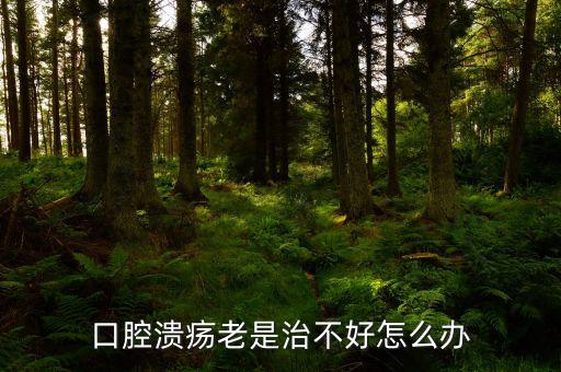 云南咖啡豆在什么時候采摘，云南小粒咖啡怎么吃要煮嗎