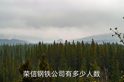 榮信電子有限公司什么時(shí)候成立，鞍山榮信電子怎么樣