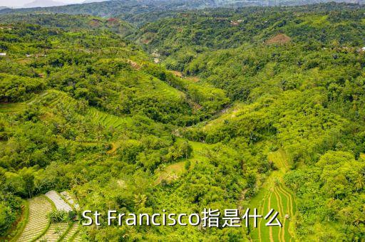 st戰(zhàn)略是什么，ST戰(zhàn)略是什么意思