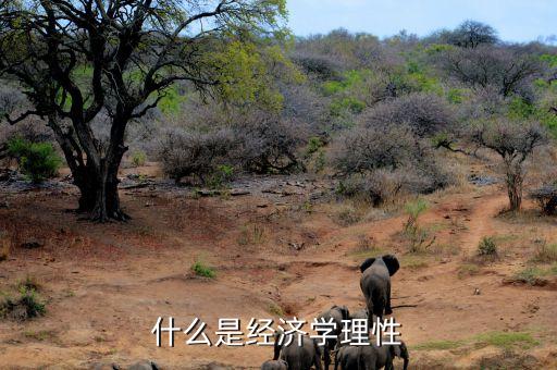 什么是市場理性，市場回歸理性是什么意思