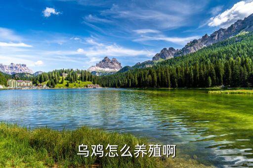 扶溝牧原飼料廠生產(chǎn)什么料，飼料廠 所生產(chǎn)的 產(chǎn)品一般需要哪些原材料