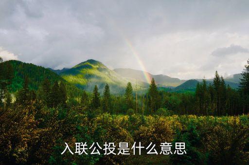 返聯(lián)公投是什么意思是什么意思，公投是什么意思