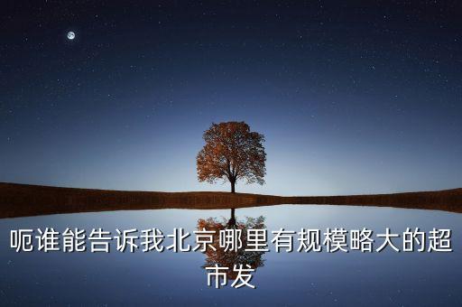 北京超市發(fā)有什么部門，呃誰能告訴我北京哪里有規(guī)模略大的超市發(fā)