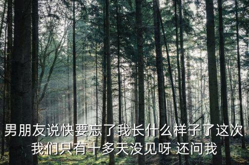 中國交通報快忘記老公長什么樣，最心酸請假條我都快忘記老公長什么樣子了