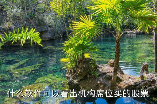 什么軟件可以看到股票是由什么機(jī)構(gòu)買進(jìn)，用什么軟件可以看到買入股票的 機(jī)構(gòu)名稱