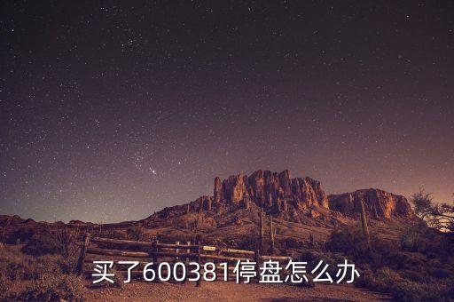 600381為什么被st，買了600381停盤怎么辦