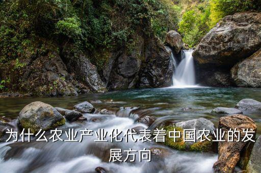 為什么要農(nóng)業(yè)產(chǎn)業(yè)化，為什么要提倡公司基地農(nóng)戶的產(chǎn)業(yè)化模式