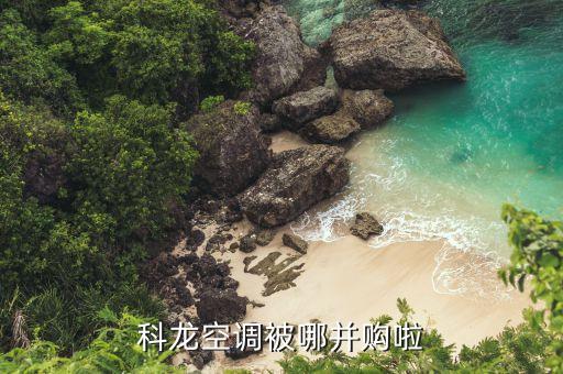 海信什么時候收購科龍，海信與科龍的關系是什么呀