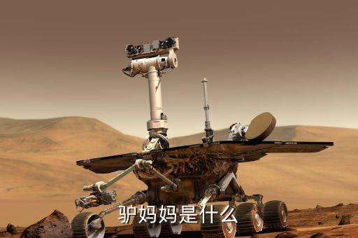 驢媽媽是什么模式，驢媽媽是什么